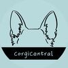 corgicentral